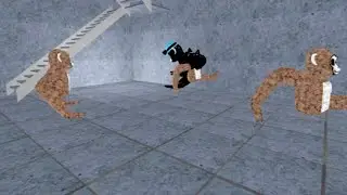 What just happened?