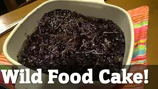 Bake a cake with all wild ingredients