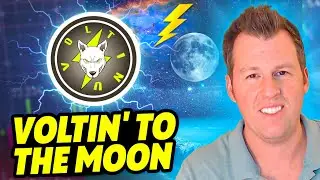 Volt Inu: голосование в DAO через 3 дня!