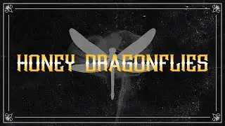 Katangrey - Honey Dragonflies (Official audio)