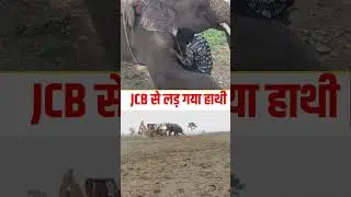 JCB से लड़ गया हाथी |