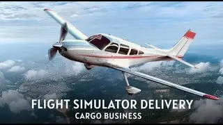 Flight Simulator Delivery Cargo Business Review (Switch)