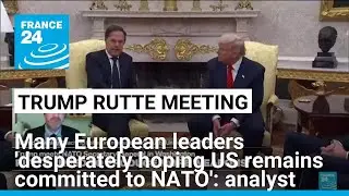 Many European leaders ' desperately hoping US remains committed to NATO' • FRANCE 24 English