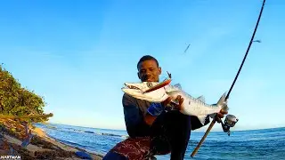 Surf Casting & Catch and Cook in Jamaica | Beach Fishing Adventure