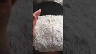 This video is 3 seconds long #3seconds #3secondchallenge