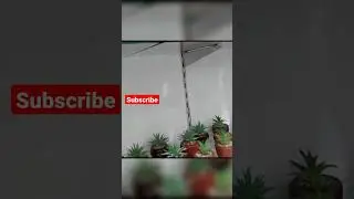 D Mart home decoration items latest offers 🌴🌴