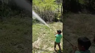 oil spray all HMO