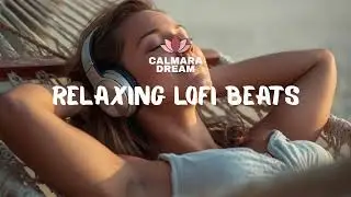 End Of 2025 Lofi Mix • 1 Hour Chill Beats To Relax & Reflect ✨