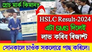 HSLC Result 2024, HSLC Result Check 2024, Seba Result 2024, HSLC Result Assam