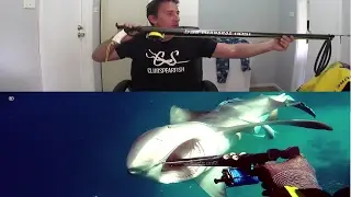 Shark Attack Slow Motion and Interveiw