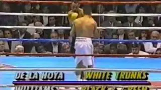 Pro DebutOscar De La Hoya vs Lamar Williams