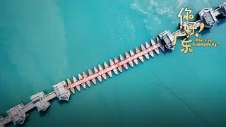 Live: Explore the bridge that is free to connect and disconnect