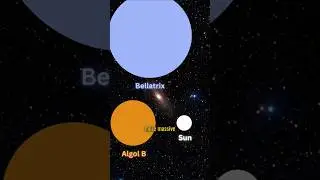 Interesting Stars: Bellatrix the Fierce Blue Giant Star! #stars #space #astronomy #universe #funfact