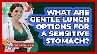 What Are Gentle Lunch Options For A Sensitive Stomach?