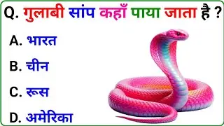 Gk Question | GK In Hindi | GK Question and Answer | Gk Quiz