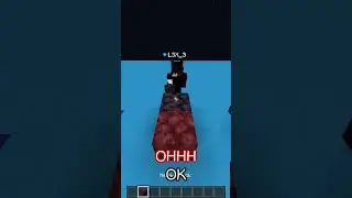 Minecraft Telepathy 1