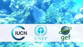 NAGOYA PROTOCOL  Arekuna language