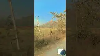 Thama thama lage ❤️&zwj;🔥Tamma Tamma Again#romantic #roads #bhandraskvlog #entertainment