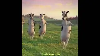 New month. Still that cow. Still that icon!💅🏼🐄 #yahxedits #trending #fyp #edit #viral #edits #firsto