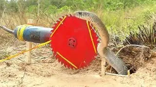 Primitive Technology - Easy Snake Trap That Work 100%