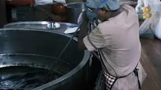 Brutec Pharma