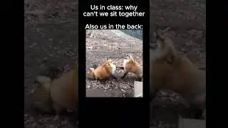 Can't Hold The Laughter Back With That One Friend😂🤭