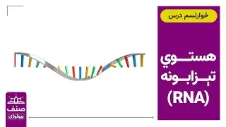 صنف - دولسم صنف بیولوژي  - 14 درس: هستوي تېزابونه؛ RNA