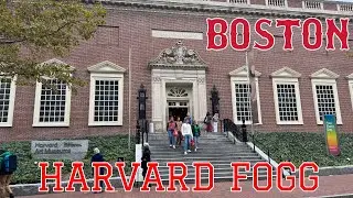 BOSTON HARVARD FOGG - Fogg Museum of Art - Harvard Museums