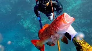 THE POLESPEAR BUILD. Cheapest form of spearfishing. HOW TO, DIY BAMBOO POLE SPEAR.(Catch and clean.)