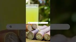 Punjab govt notifies sugarcane price hike. Enquire:  