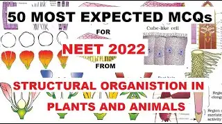 50 Most Expected MCQs from UNIT 2: Structural Organisation in Plants and Animals || NEET 2022