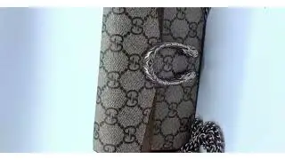 mini dionysus gucci