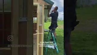 Building a Cat House!
