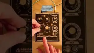 Specific but awesome #fxpedal #benidub #analogsynth #synth #moogaudio #shorts