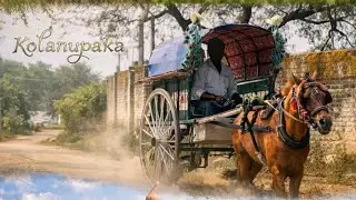 Kolanupaka Village Life | Pure Rural Telangana Vibes 🌾
