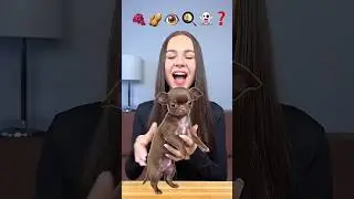 Cute Dog 🐩 #food #challenge #mukbang