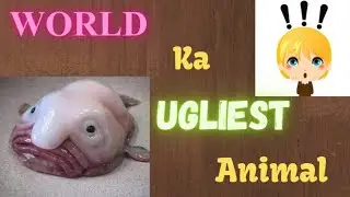 Most ugliest animal in this world | Ugliest animal🤮 | Shorts | Era of programming