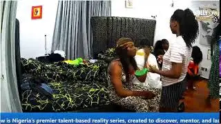 NollyStar TV Live Stream