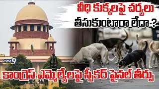 Supreme Court Serious On Stray Dogs Incidents | వీధి కుక్కలపై చర్యలు తీసుకుంటారా లేదా ? | Prime9