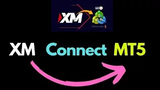 How to Connect XM to MT5 | Step-by-Step XM MT5 Login Tutorial (Beginner Guide)