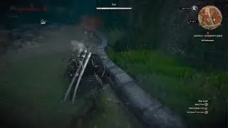 The Witcher 3: Wild Hunt stupid guard