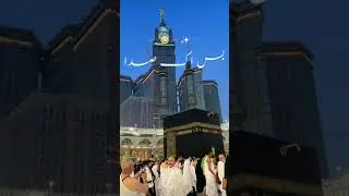 Islamicshortvideo#islamicquotes#whatsappstatusvideo#deenvideo
