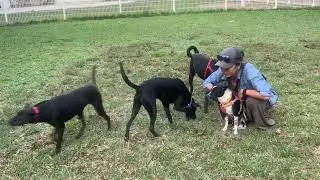 Hero is good with strangers (blue collar）