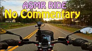 Motorcycle Ride on Vancouver Island Helmet-POV | NO COMMENTARY | No Music | No Editing | Moto Guzzi