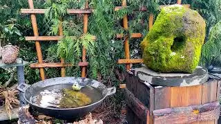 Little birds taking a bath during cold 27th January 2026