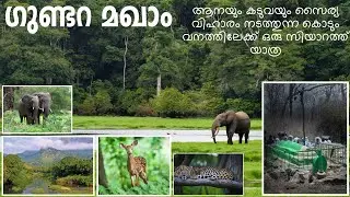കൊടും വനത്തിലുള്ള മഖാമിലേക്ക് ഒരു സാഹസിക യാത്ര 🌳 KUNDARA MAQAM 💥 Binsufi