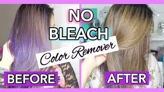 NO BLEACH Hair Color Remover
