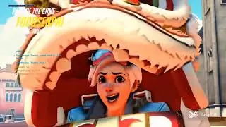 top 500 Flex Player