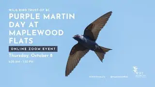 Purple Martin Day at Maplewood Flats