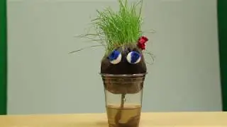 Lesson to Grow: Turf Buddies